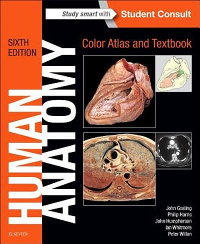 Atlas and text-book of human anatomy. Anatomy -- Atlases. THE VERTEBRAL  COLUMN. 23 The body (Figs, i and 2) is comi>osed of six)ngy substance  enclosed bv a ihin hsct of cor