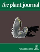 The plant journal