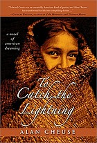 To catch the lightning : a novel about american dreaming