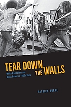 Tear down the walls. White radicalism and Black Power in 1960s rock.