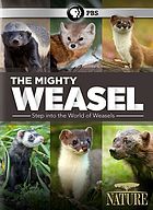 The mighty weasel Cover Art