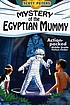 Mystery of the Egyptian mummy by  Scott Peters 