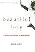 Beautiful boy : a father's journey through his... by  David Sheff 